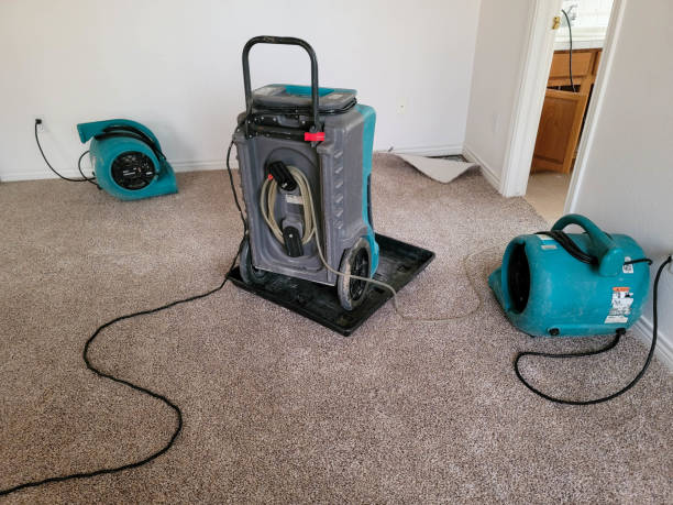 Best Flood damage cleanup  in Clifton Knolls Mill Creek, NY