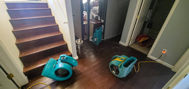 Best Residential water damage restoration  in Clifton Knolls Mill Creek, NY