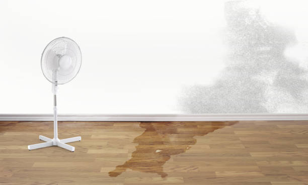 Best Local water damage restoration  in Clifton Knolls Mill Creek, NY