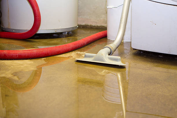  Clifton Knolls Mill Creek, NY Water damage restoration Pros