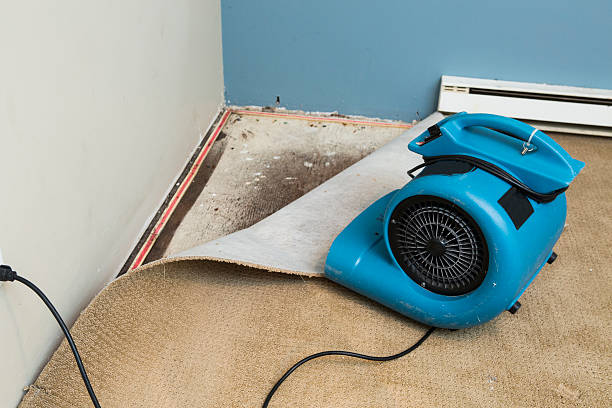 Water damage restoration insurance claims in Clifton Knolls Mill Creek, NY
